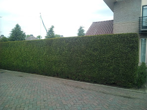 Project_G3